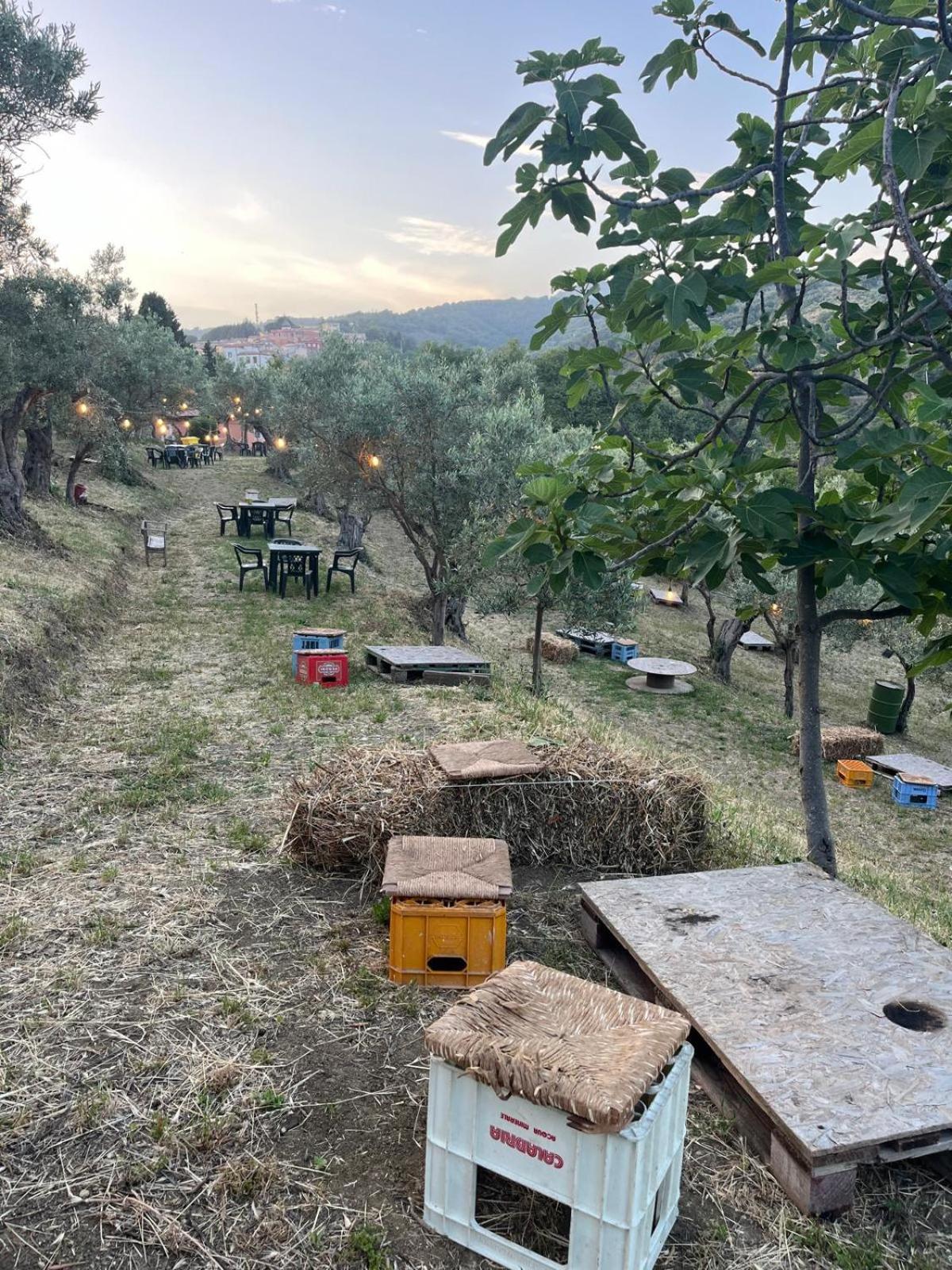Casale Carolea Διαμέρισμα Sarrotino Εξωτερικό φωτογραφία